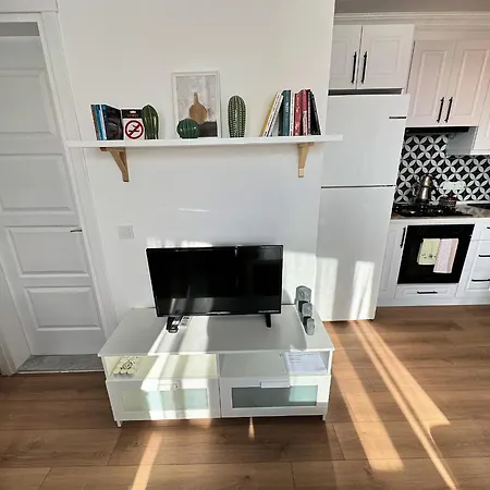 House Of Spring Apartment